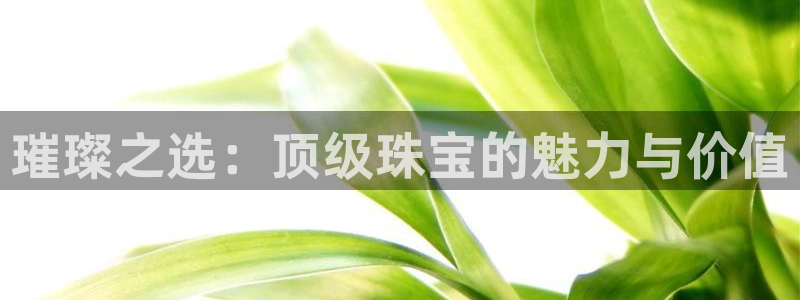 开丰娱乐平台提现失败：璀璨之选：顶级珠宝的魅力与价值