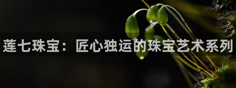 开丰娱乐平台：莲七珠宝：匠心独运的珠宝艺术系列