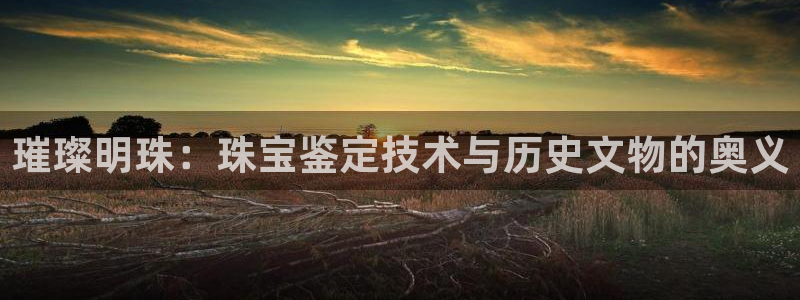 开丰娱乐登入地址在哪查：璀璨明珠：珠宝鉴定技术与历史文物的奥义