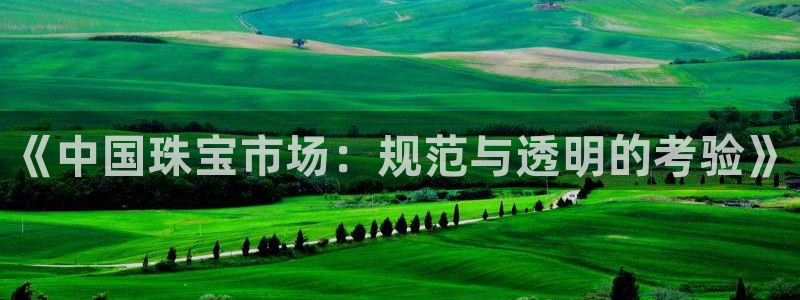 开丰娱乐千67五壹叁八：《中国珠宝市场：规范与透明的考验》
