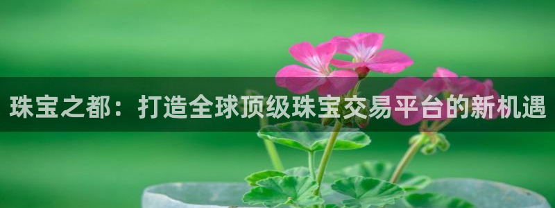 开丰娱乐地址：珠宝之都：打造全球顶级珠宝交易平台的新机遇