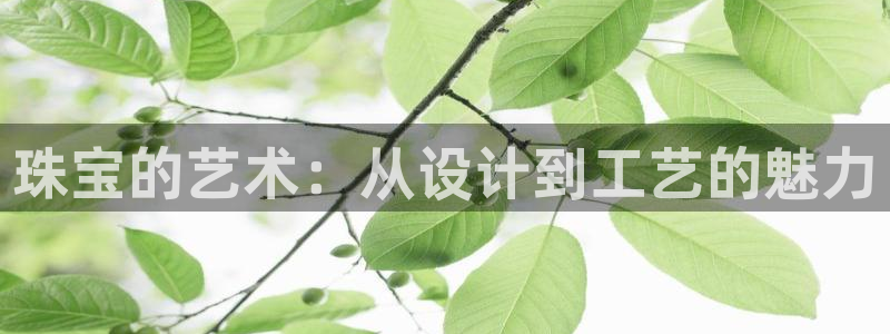开丰娱乐怎么样：珠宝的艺术：从设计到工艺的魅力