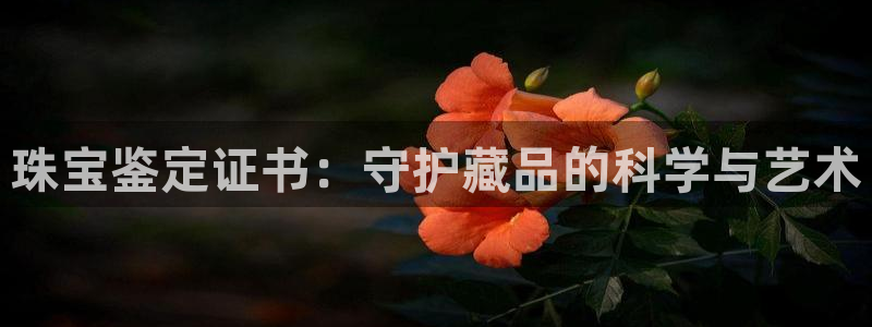 开丰娱乐寸六七五一38：珠宝鉴定证书：守护藏品的科学与艺术