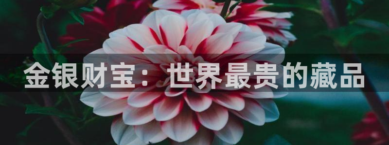 开丰娱乐网站：金银财宝：世界最贵的藏品