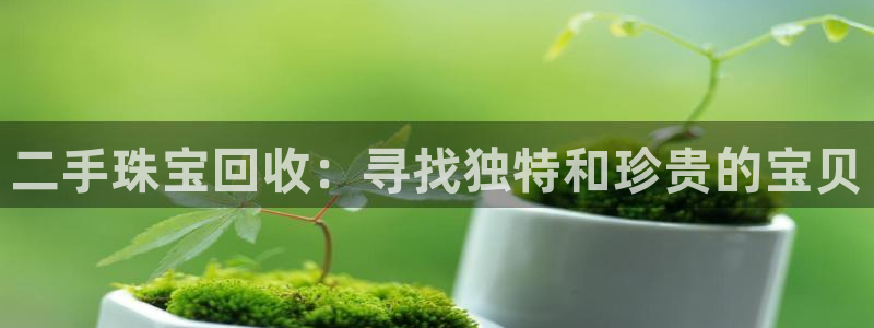 开丰娱乐登入地址在哪里：二手珠宝回收：寻找独特和珍贵的宝贝