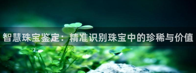 开丰娱乐平台登录：智慧珠宝鉴定：精准识别珠宝中的珍稀与价值