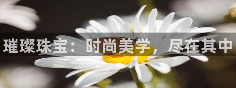 开丰娱乐登陆地址：璀璨珠宝：时尚美学，尽在其中