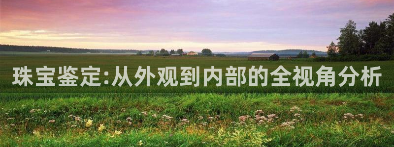 开丰娱乐登入地址：珠宝鉴定:从外观到内部的全视角分析