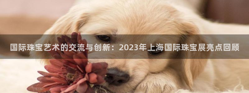 开丰娱乐注册系究耍333OO：国际珠宝艺术的交流与创新：2023年上海国际珠宝展