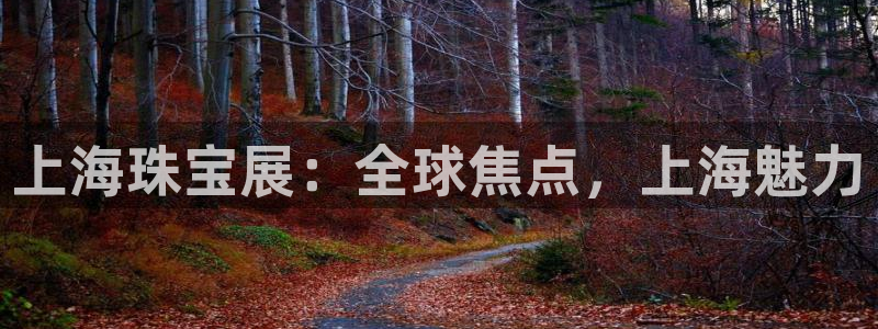 开丰娱乐注册电7O777：上海珠宝展：全球焦点，上海魅力