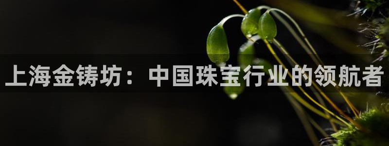 开丰娱乐官方app：上海金铸坊：中国珠宝行业的领航者