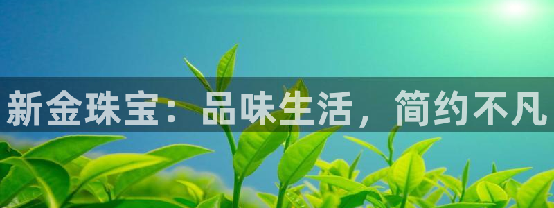 开丰娱乐优七九九47：新金珠宝：品味生活，简约不凡