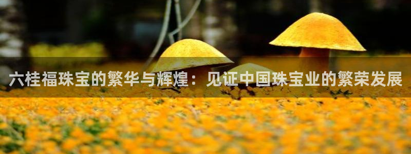 开丰娱乐官网电话
