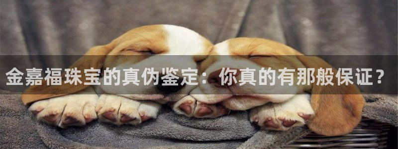 开丰娱乐更多平台：金嘉福珠宝的真伪鉴定：你真的有那般保证？