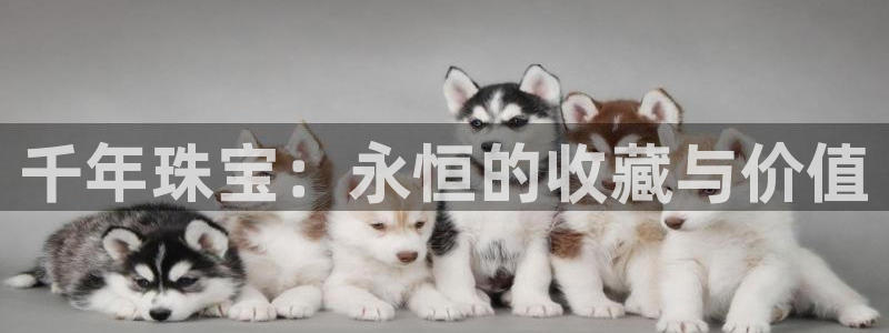 开丰娱乐平台地址电话