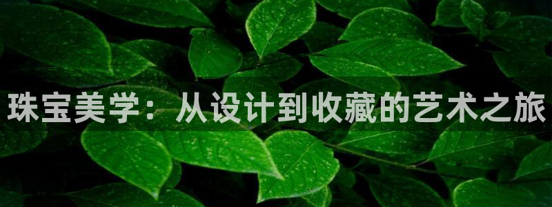 开丰娱乐体育平台：珠宝美学：从设计到收藏的艺术之旅