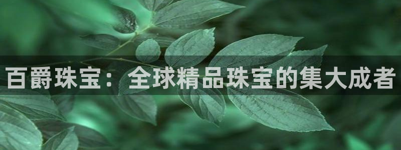 开丰娱乐平台地址电话：百爵珠宝：全球精品珠宝的集大成者